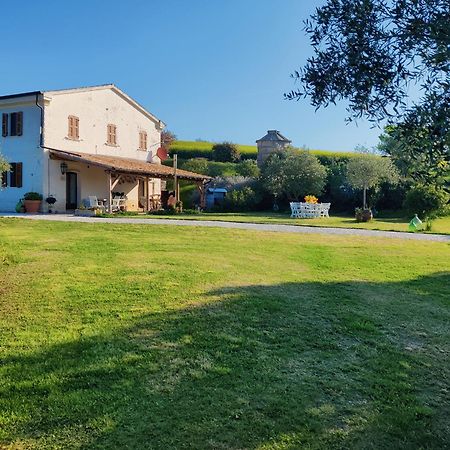 Rustico Del Bozzo Vendégház Castelleone di Suasa Kültér fotó