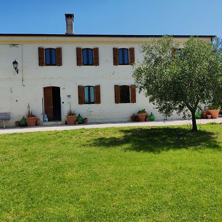 Rustico Del Bozzo Vendégház Castelleone di Suasa Kültér fotó