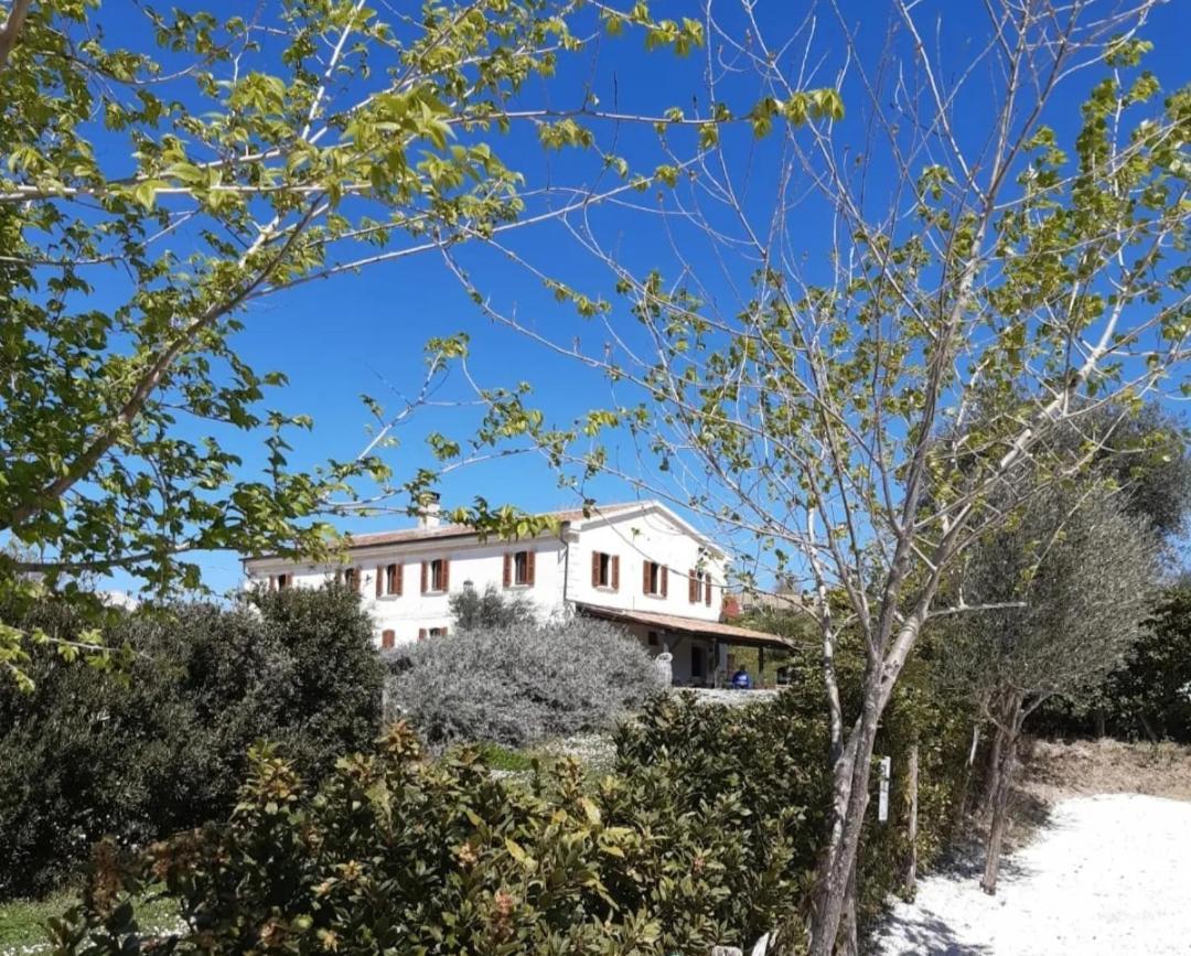 Rustico Del Bozzo Vendégház Castelleone di Suasa Kültér fotó