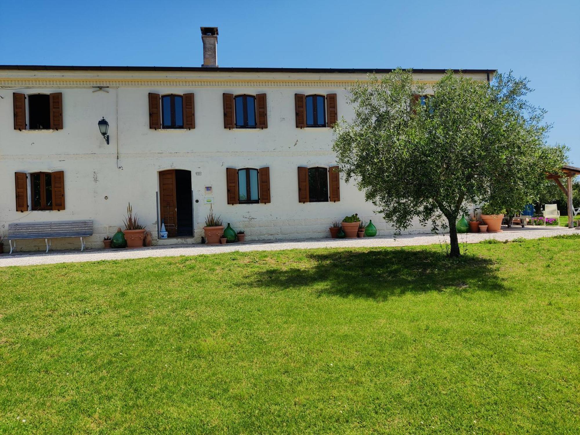 Rustico Del Bozzo Vendégház Castelleone di Suasa Kültér fotó