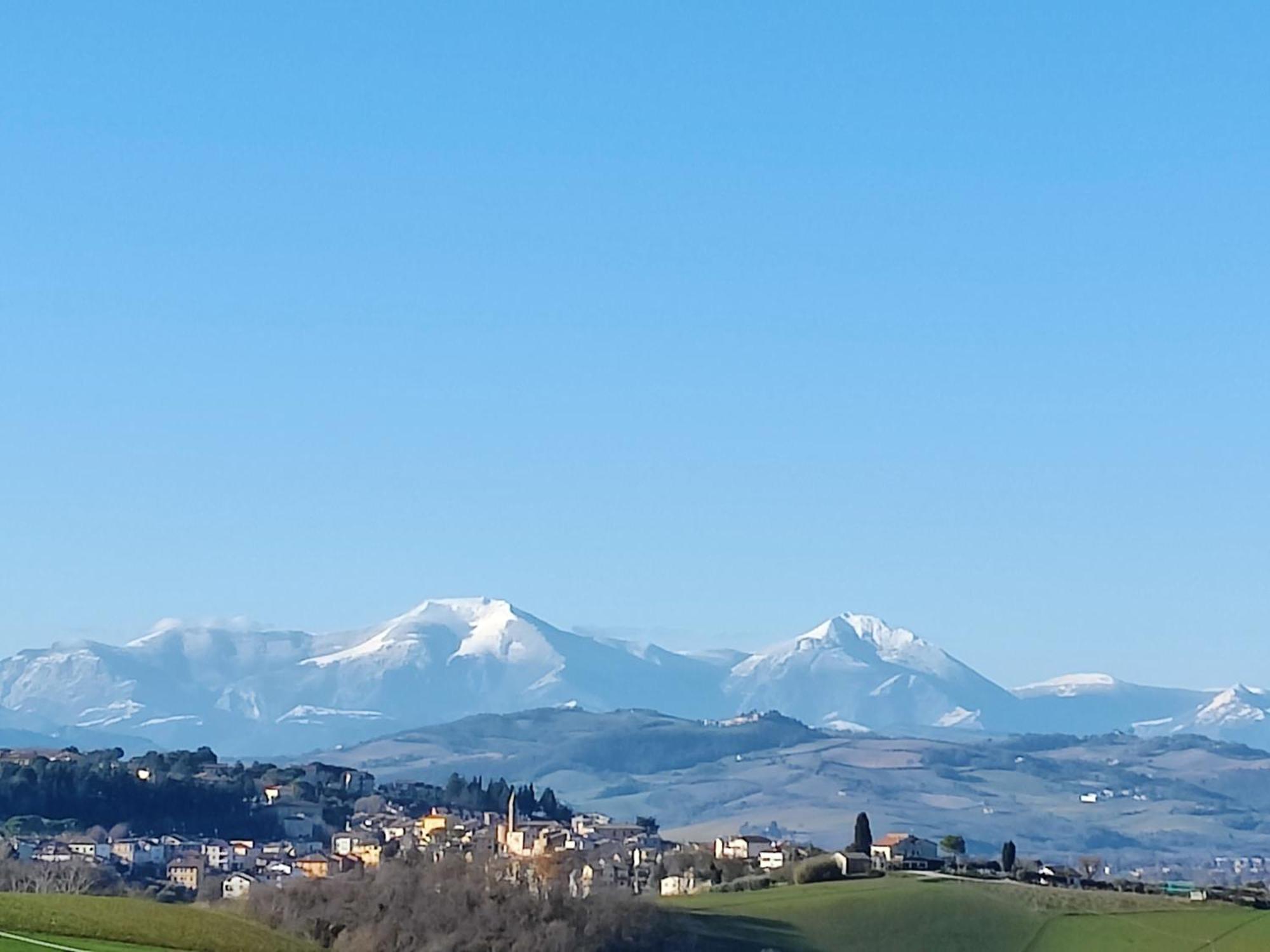 Rustico Del Bozzo Vendégház Castelleone di Suasa Kültér fotó